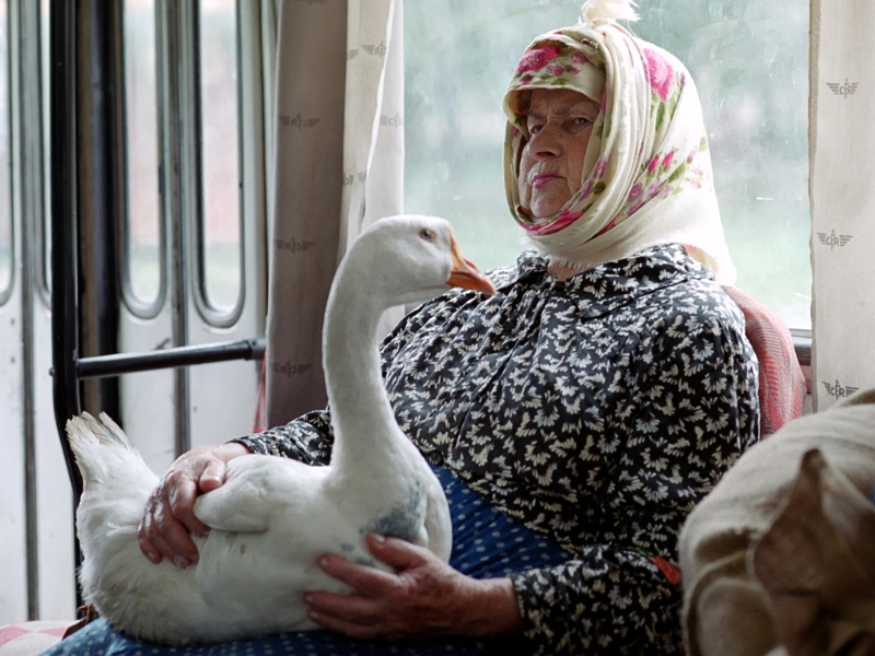 Anatolie Poiata - În drum spre piață.jpg